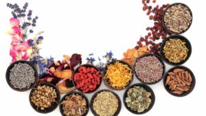 Read more about the article Mastering Herbalism Classic WoW: Tips for Gathering and Crafting Success